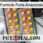 Anaconda Strong Formula new10